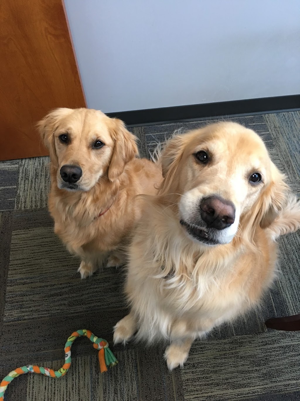 Vetsource | 9500 NE Cascades Pkwy, Portland, OR 97220, USA | Phone: (503) 802-7400