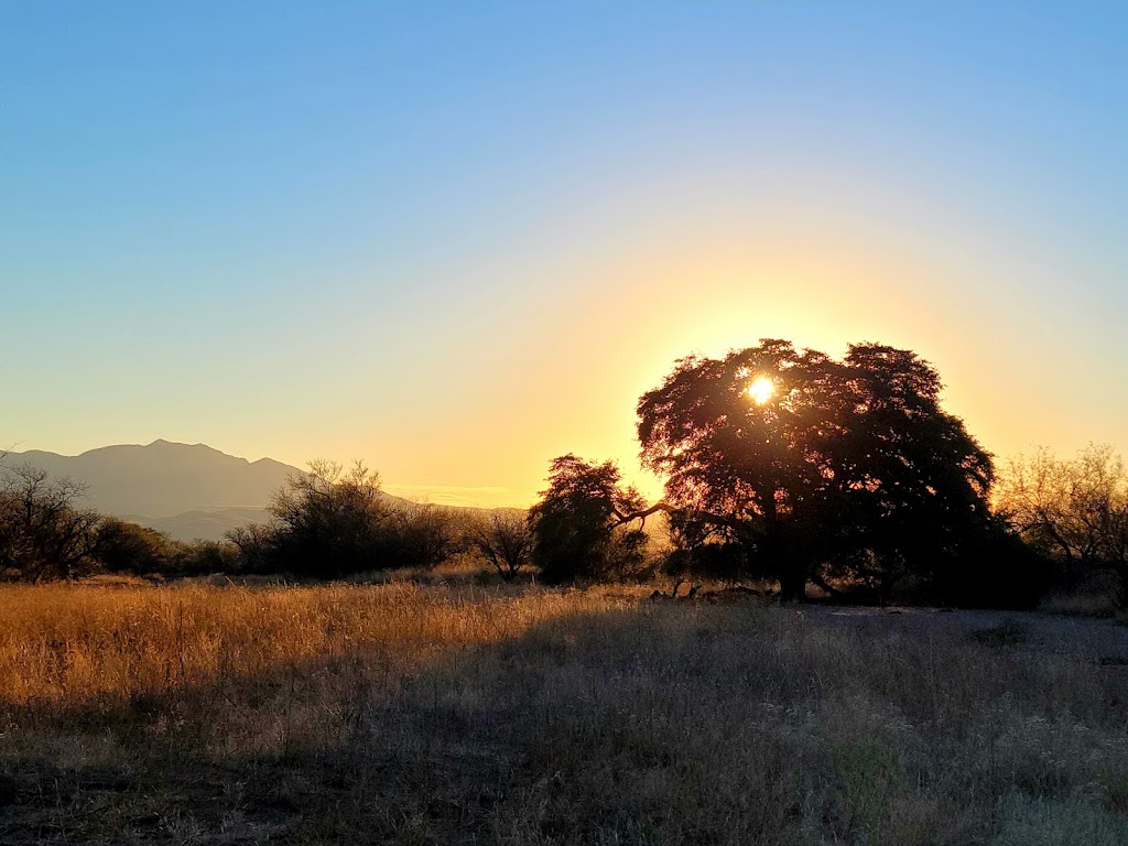 Las Cienegas National Conservation Area | 3201 E Universal Way, Tucson, AZ 85756, USA | Phone: (520) 258-7200