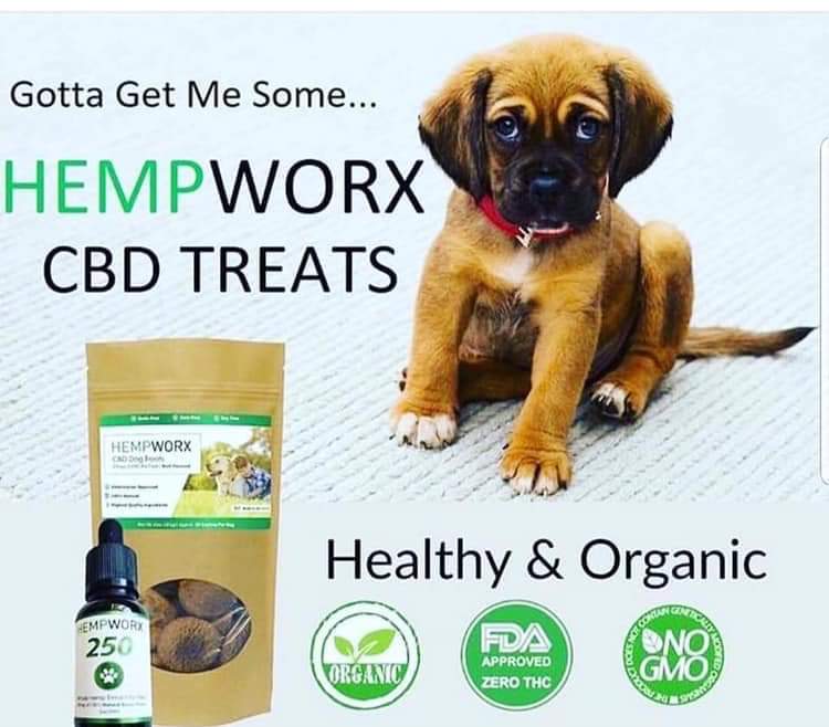 Feel Free With CBD, CBD oil in Texas City, Texas | 2717 Westbury Ln, Texas City, TX 77590, USA | Phone: (281) 910-0957