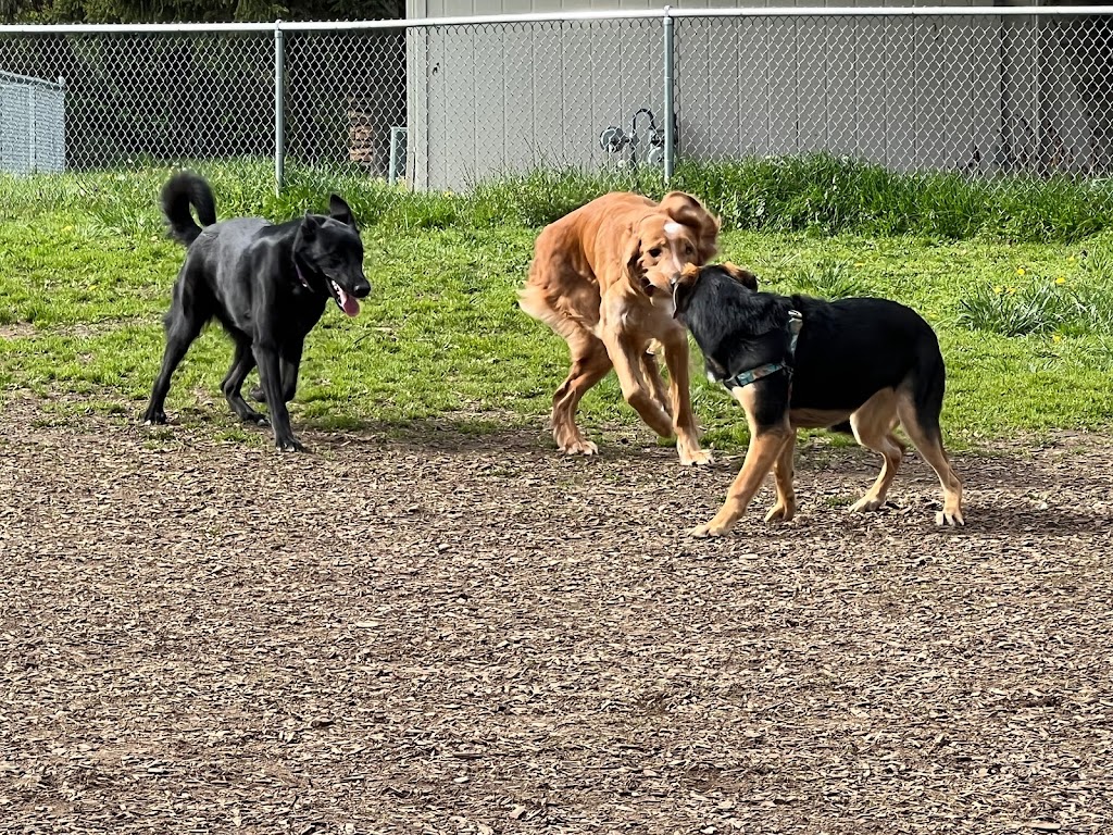 Columbia City Dog Park | 2305 2nd St, Columbia City, OR 97018, USA | Phone: (503) 366-0454