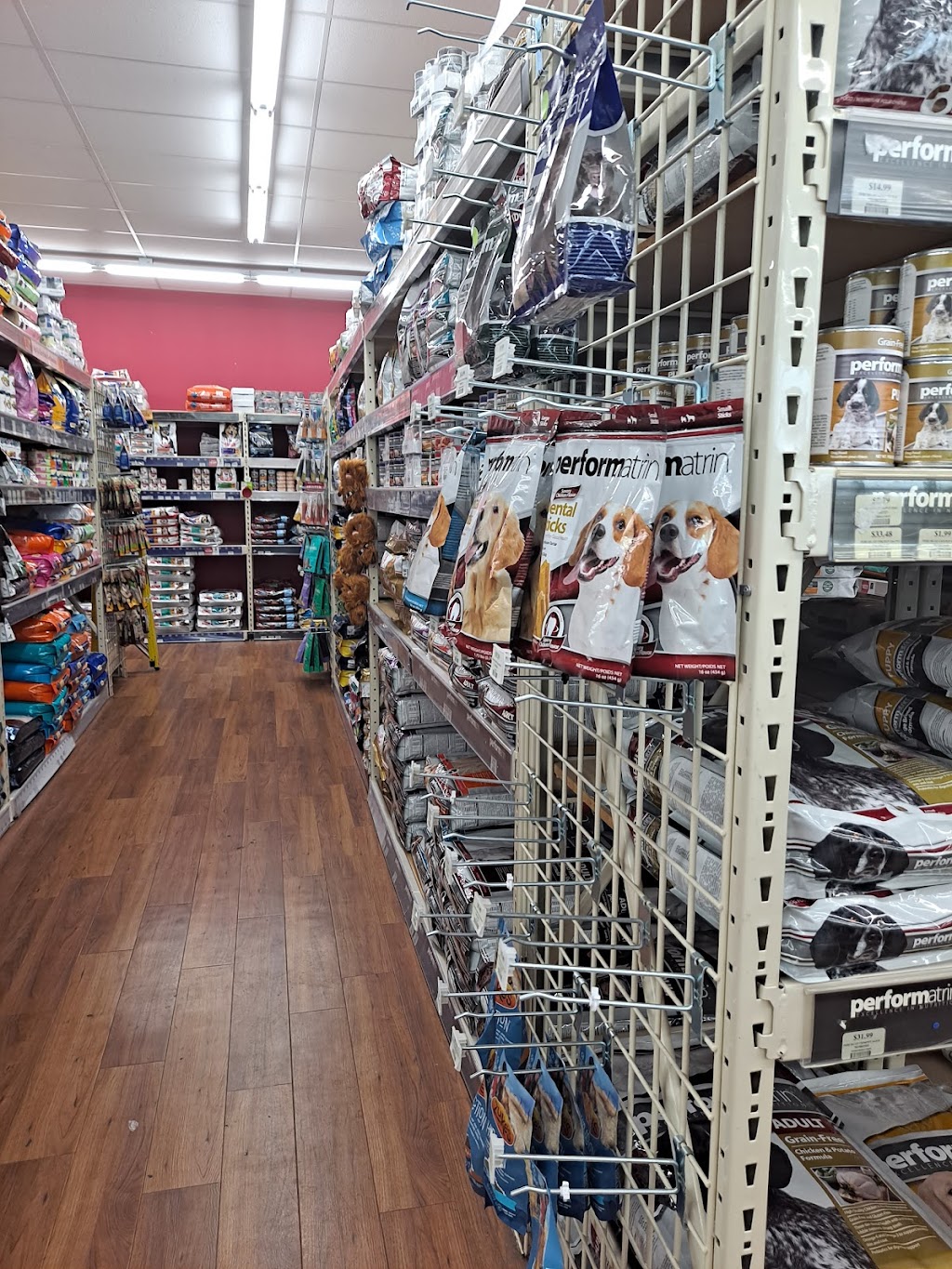 Pet Supermarket | 2320 N Dale Mabry Hwy, Tampa, FL 33607, USA | Phone: (813) 877-5550