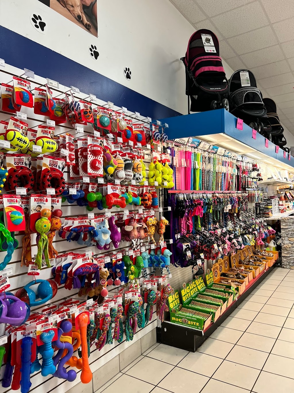 Pet Zone | 1 Crossgates Mall Rd, Albany, NY 12203, USA | Phone: (518) 218-7387