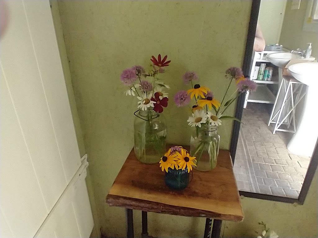 White Birch Golf Course | 1515 N Lyndonville Rd, Lyndonville, NY 14098, USA | Phone: (585) 765-2630