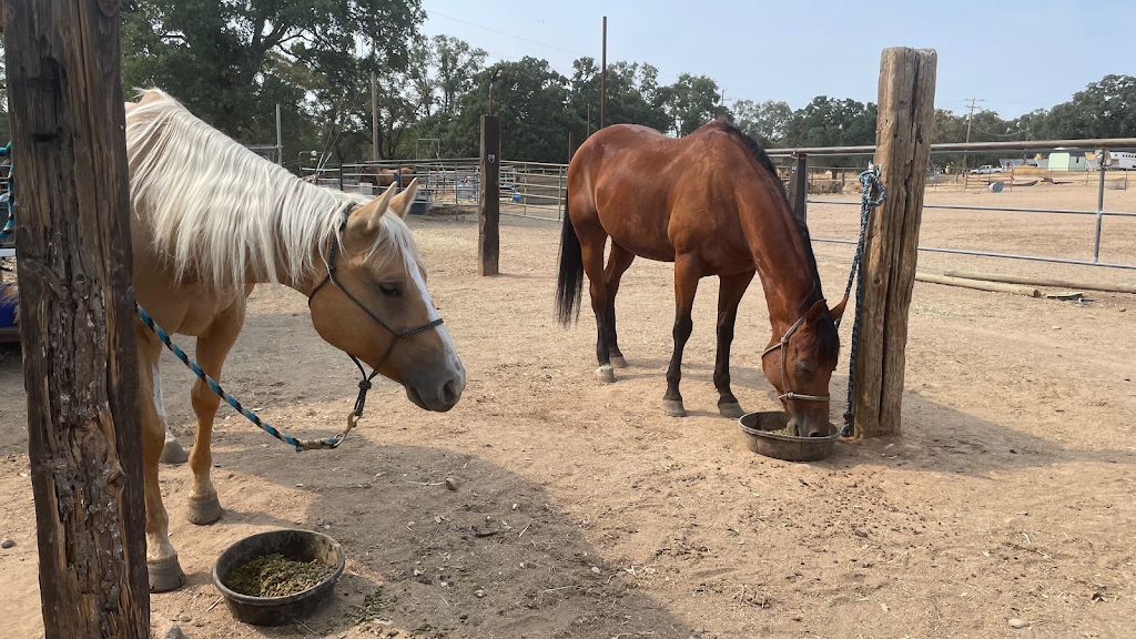 4 Horse Ranch | 2911 Patriot Way, Valley Springs, CA 95252, USA | Phone: (925) 586-5447 4 Horse Ranch | 2911 Patriot Way, Valley Springs, CA 95252, USA | Phone: (925) 586-5447