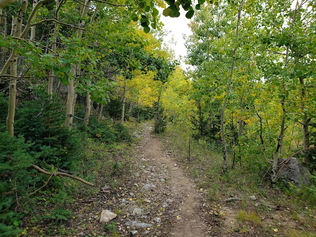 Ellis Trailhead | Sandia Crest Scenic Hwy, Cedar Crest, NM 87008, USA | Phone: (505) 281-3304