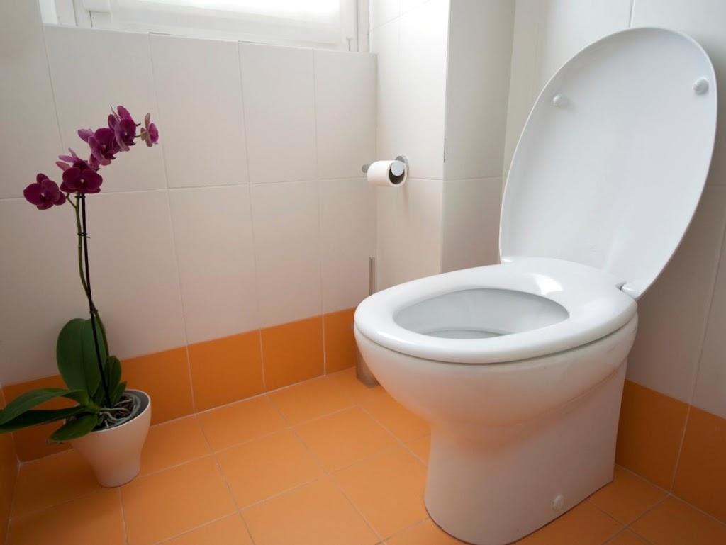 Toilet Repair Plano TX | 821 Central Expy, Plano, TX 75075, USA | Phone: (972) 379-7652