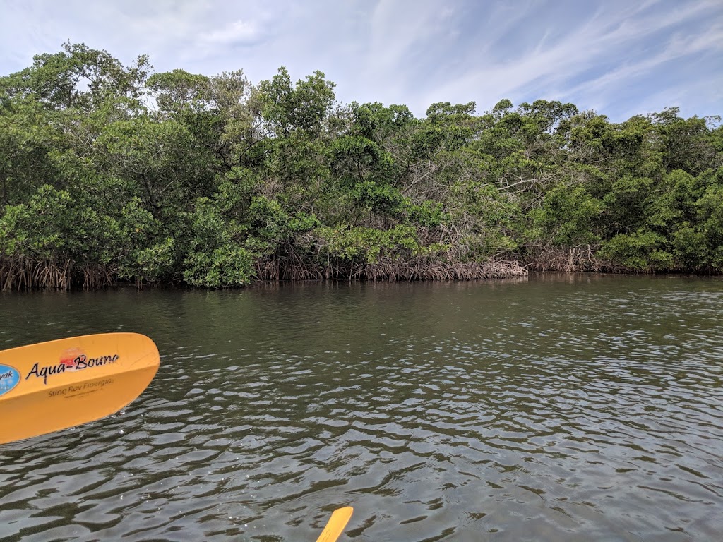 So. Lido Nature Park Kayak Launch | 190 Taft Dr, Sarasota, FL 34236, USA | Phone: (941) 861-5000