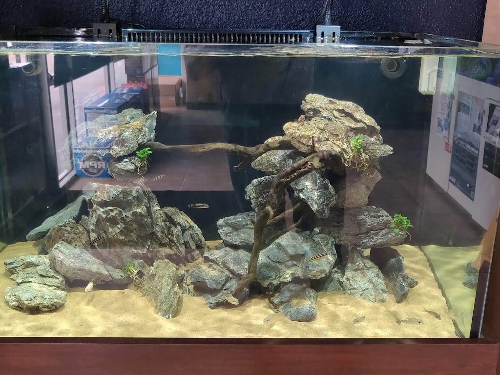 Rift 2 Reef Aquatics | 2250 Justin Rd #116, Highland Village, TX 75077, USA | Phone: (972) 317-2341