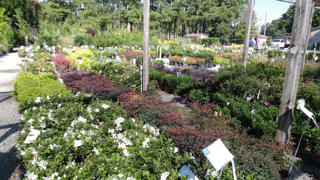 Gossetts Landscape Nursery | 7801 Clinard Farms Rd, High Point, NC 27265 | Phone: (336) 454-2548