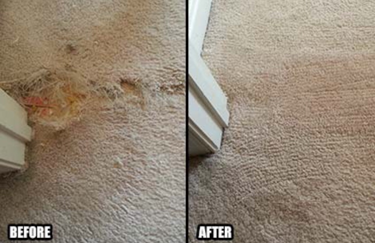 Armstrong Carpet Repair | 396 Flint Dr, Newport News, VA 23602 | Phone: (757) 272-6594