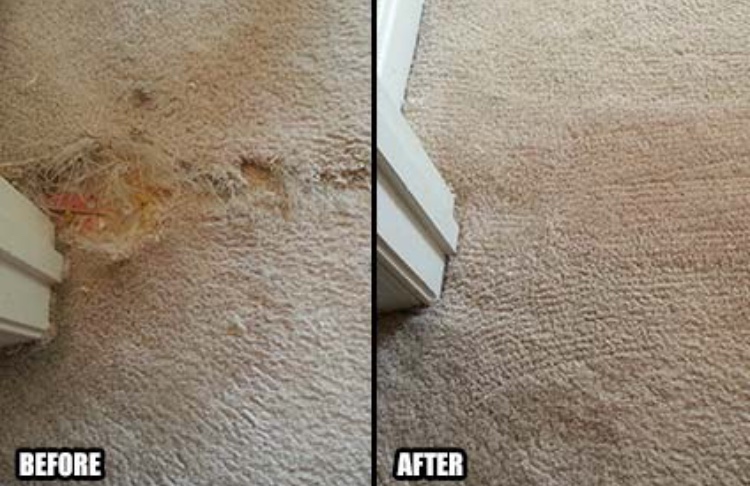 Armstrong Carpet Repair | 396 Flint Dr, Newport News, VA 23602, USA | Phone: (757) 272-6594