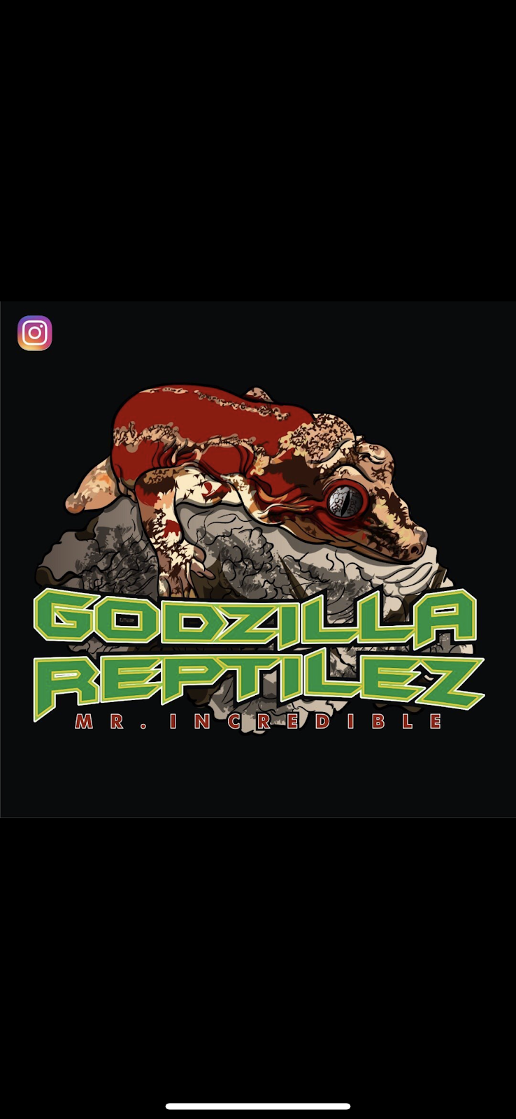 Godzilla Reptilez | 286 Glendale Ave, San Marcos, CA 92069, USA | Phone: (760) 390-1677