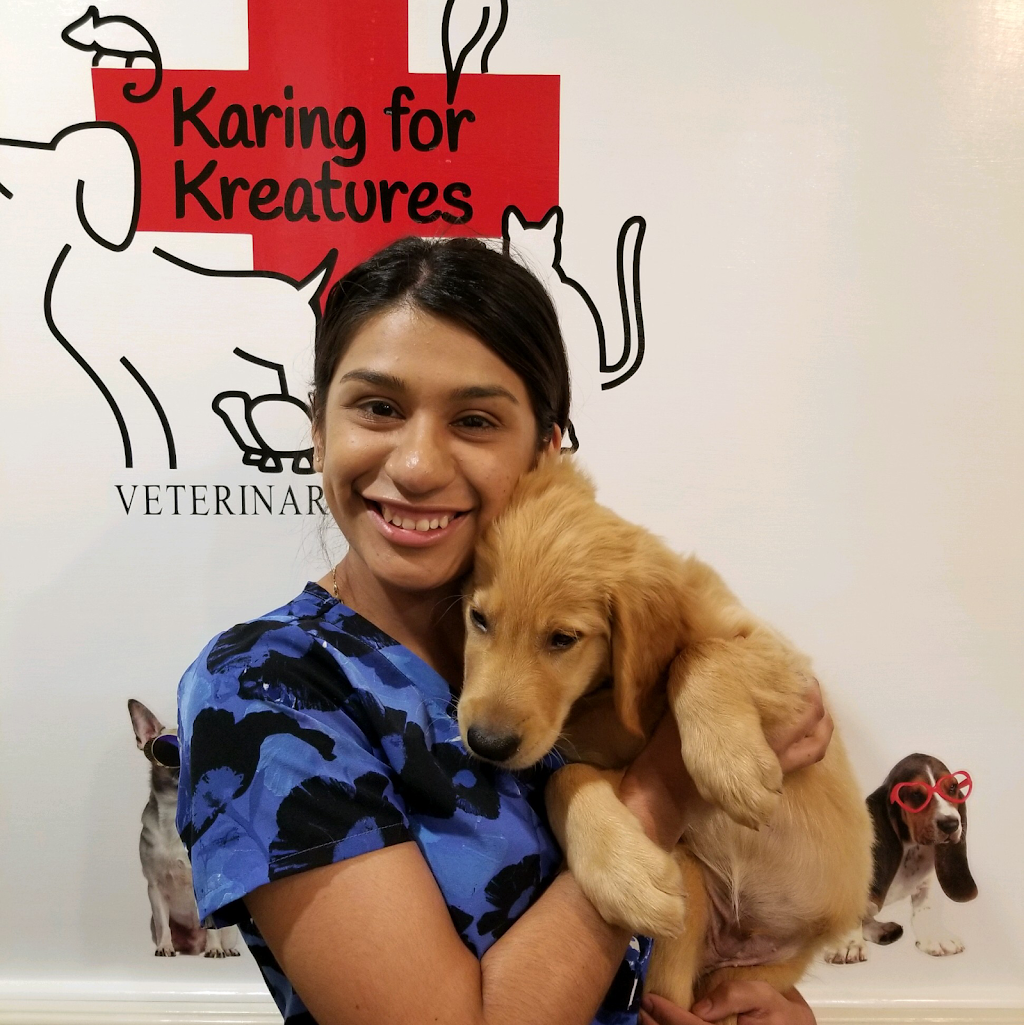 Karing for Kreatures Veterinary Hospital “K+K” | 377 Hill St, Lemoore, CA 93245, USA | Phone: (559) 997-1121