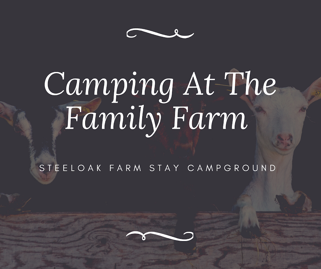 Steel Oak Campground | S3704B Trapp Rd, Baraboo, WI 53913, USA | Phone: (608) 393-7759