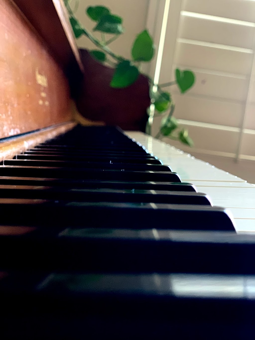 Mindful Music Piano | 2884 Garden Creek Cir, Pleasanton, CA 94588, USA | Phone: (408) 893-0072