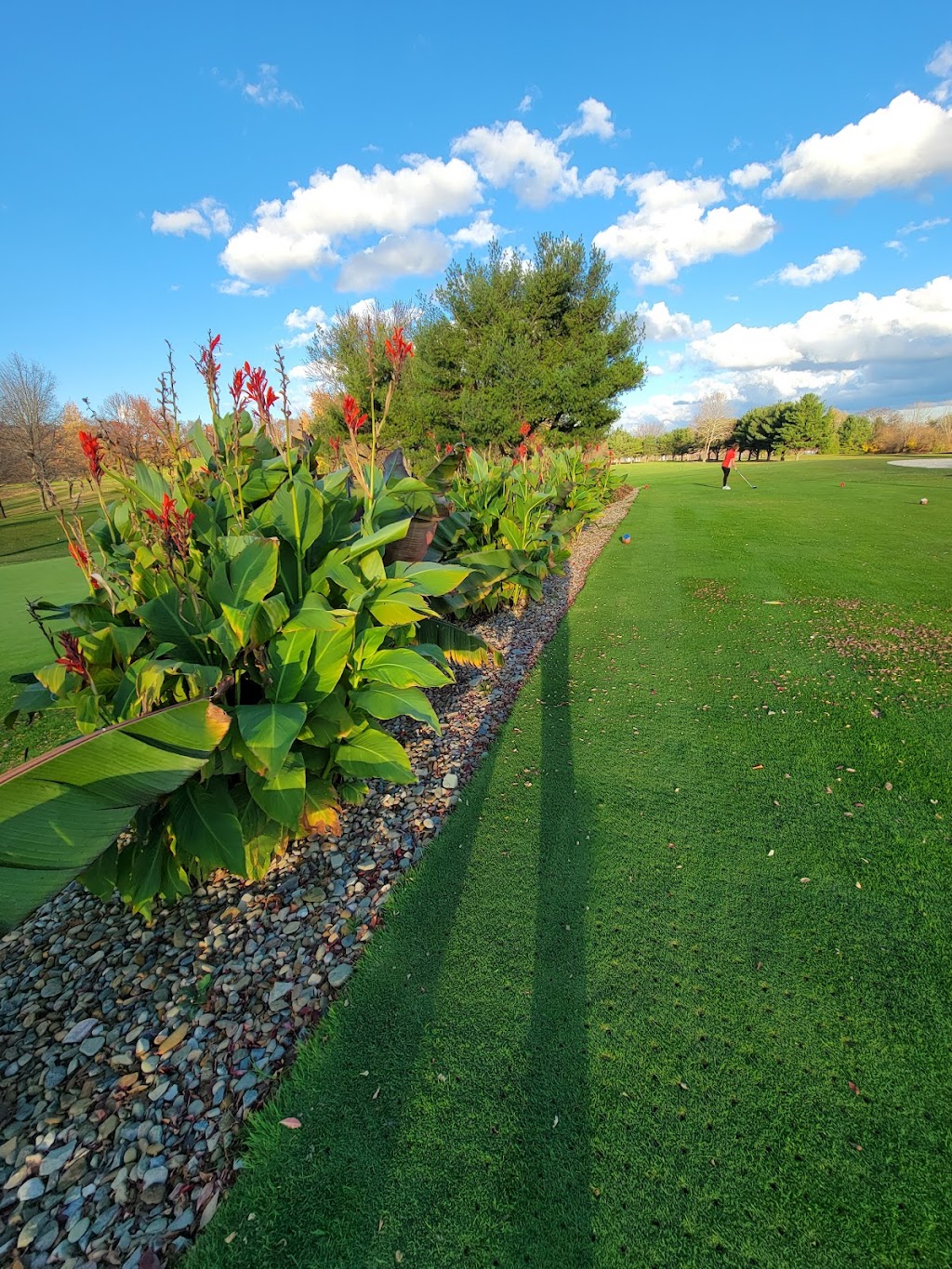 Turkeyfoot Lake Golf Links | 294 W Turkeyfoot Lake Rd, Akron, OH 44319 | Phone: (330) 644-5971