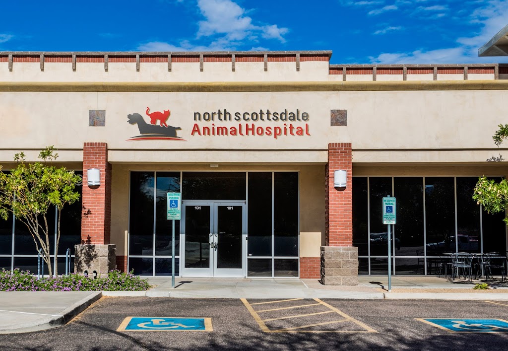 North Scottsdale Animal Hospital | 14870 N Northsight Blvd Suite #101, Scottsdale, AZ 85260, USA | Phone: (480) 368-1741