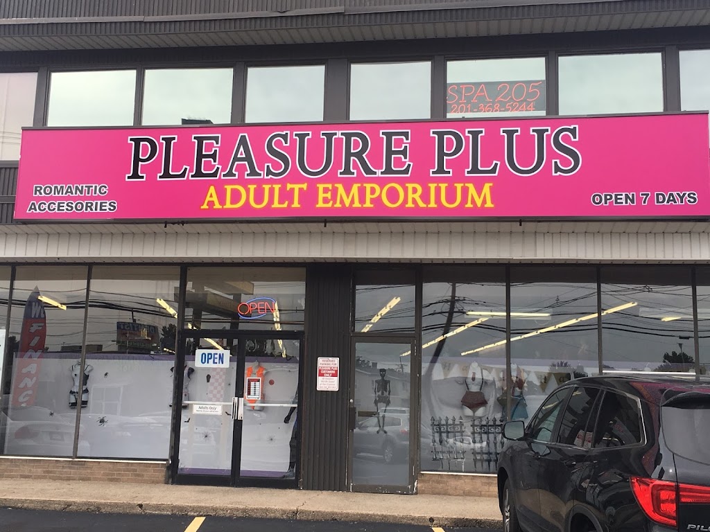 Pleasure Plus Video | 205 N 6th St UNIT 46, Saddle Brook, NJ 07663, USA | Phone: (201) 587-1200