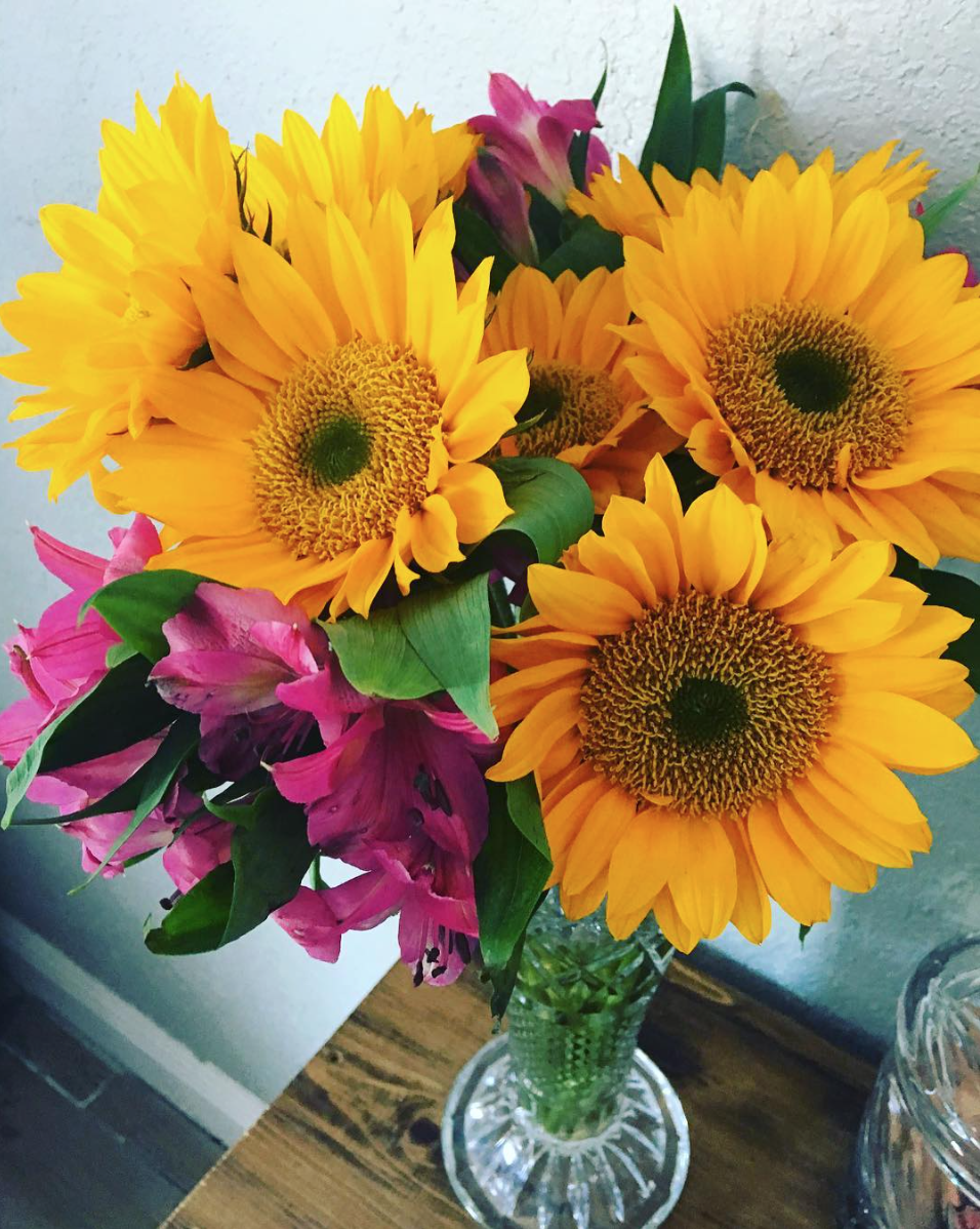 Kinetic Soul Westchase | 11961 Sheldon Rd, Tampa, FL 33626, USA | Phone: (813) 444-8394 Kinetic Soul Westchase | 11961 Sheldon Rd, Tampa, FL 33626, USA | Phone: (813) 444-8394