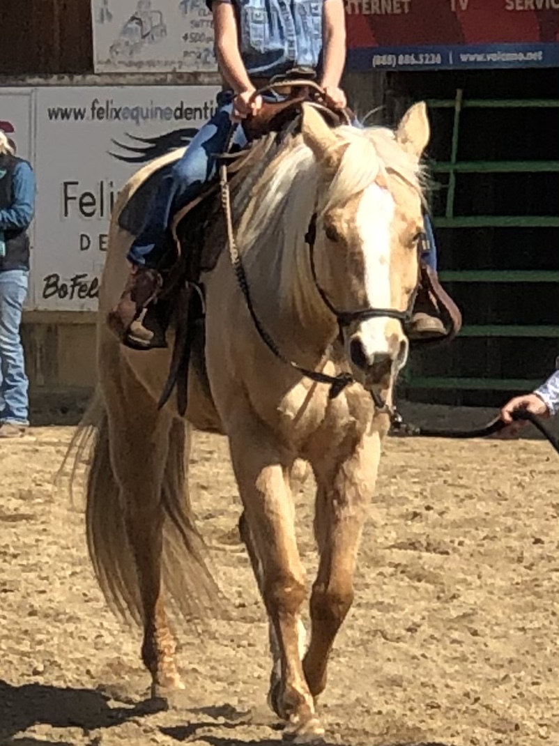 4 Horse Ranch | 2911 Patriot Way, Valley Springs, CA 95252, USA | Phone: (925) 586-5447 4 Horse Ranch | 2911 Patriot Way, Valley Springs, CA 95252, USA | Phone: (925) 586-5447