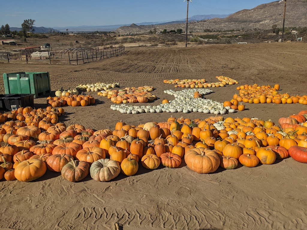 Shady Acres Farm Stand | 32351 Sage Rd, Hemet, CA 92544, USA | Phone: (773) 440-3252