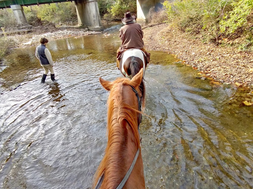 Creekside Riding Academy & Stables | 2359 Lewisburg Pike, Franklin, TN 37064, USA | Phone: (615) 595-7547