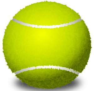 Bay Team Tennis Academy | 1501 Almaden Expy #1102, San Jose, CA 95125, USA | Phone: (408) 376-1015