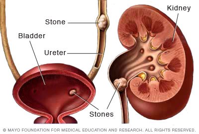 Andrew K. Nguyen, MD FACS | 2750 W Broadway, Los Angeles, CA 90041, USA | Phone: (818) 241-3125