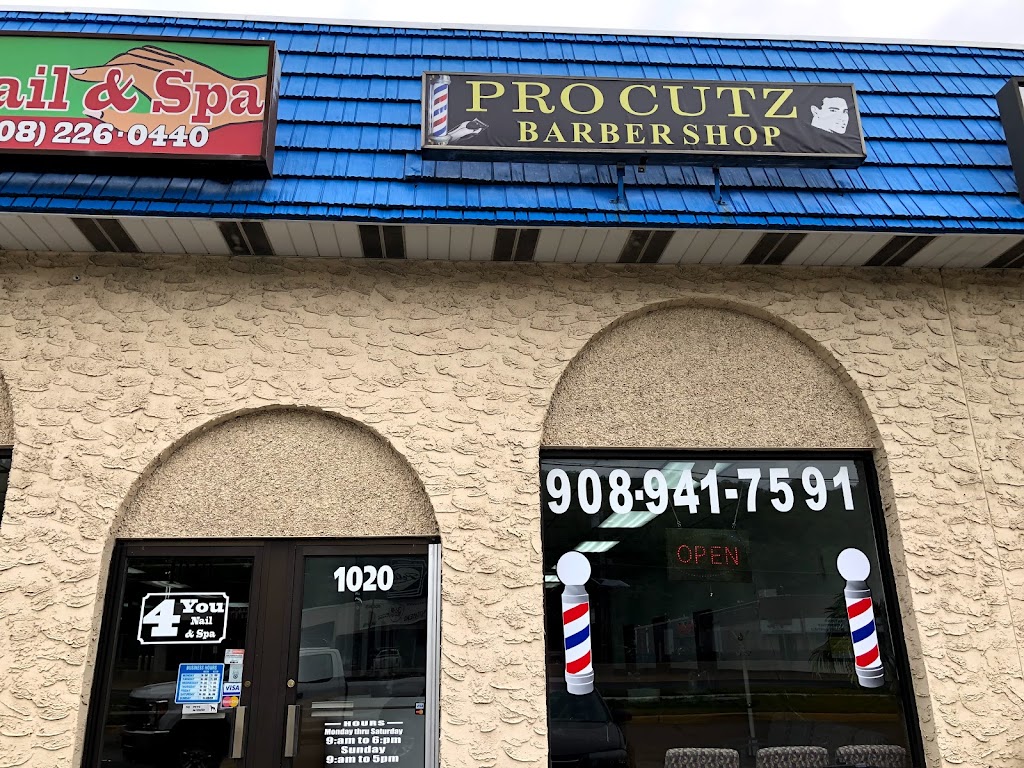 Pro Cutz | North Plainfield, NJ 07060, USA | Phone: (908) 941-7591