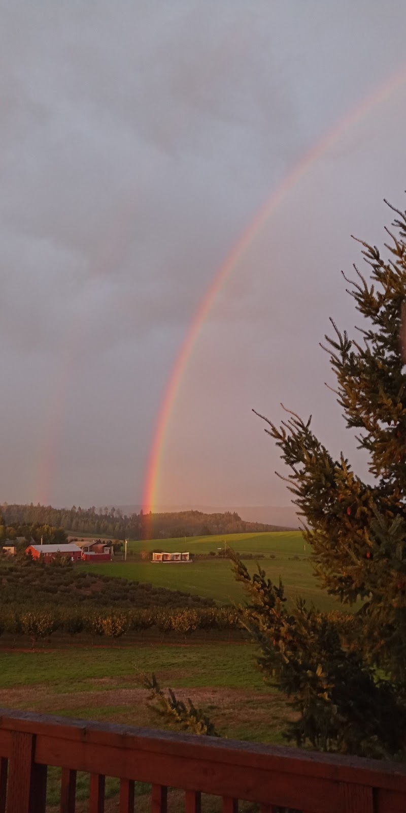 Blanchet Farm | 11750 NE Finn Hill Loop, Carlton, OR 97111, USA | Phone: (503) 852-6626