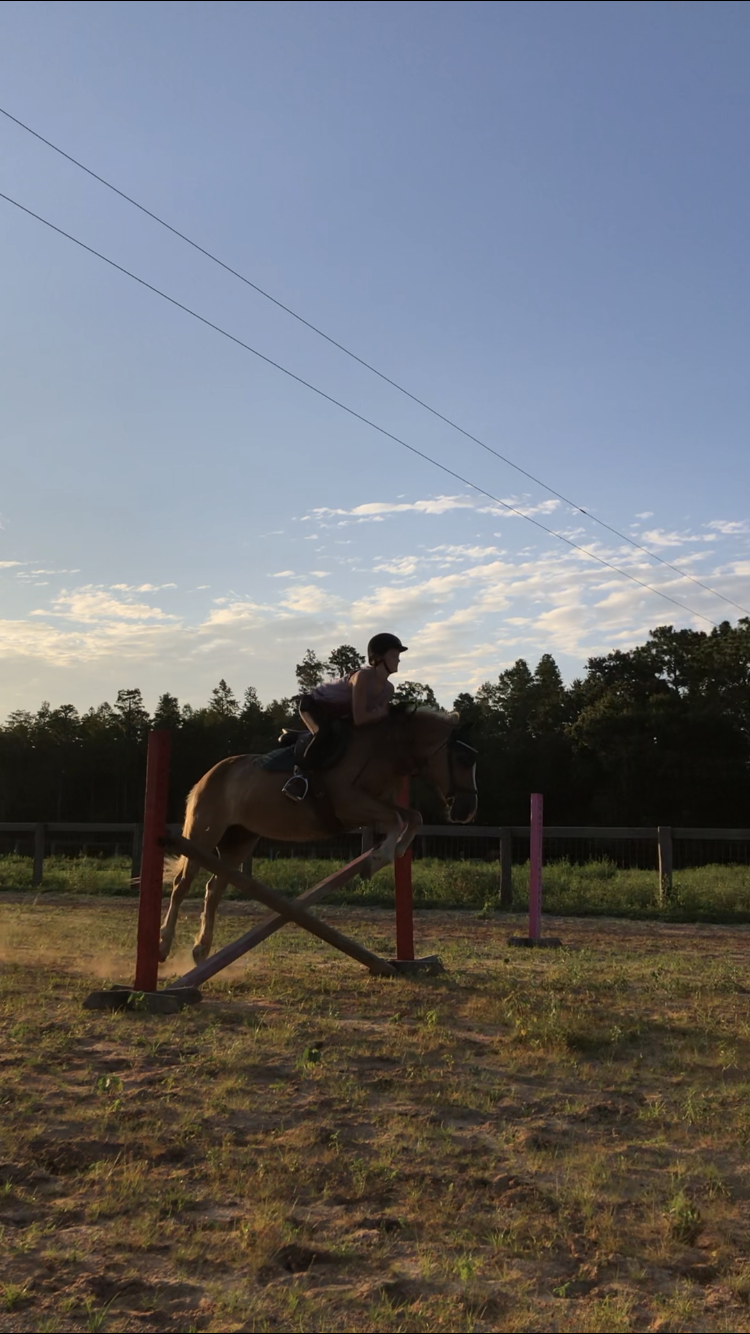 Flatwoods Equestrian Center | 9348 Sycamore Rd, Clermont, FL 34714, USA | Phone: (352) 536-5348