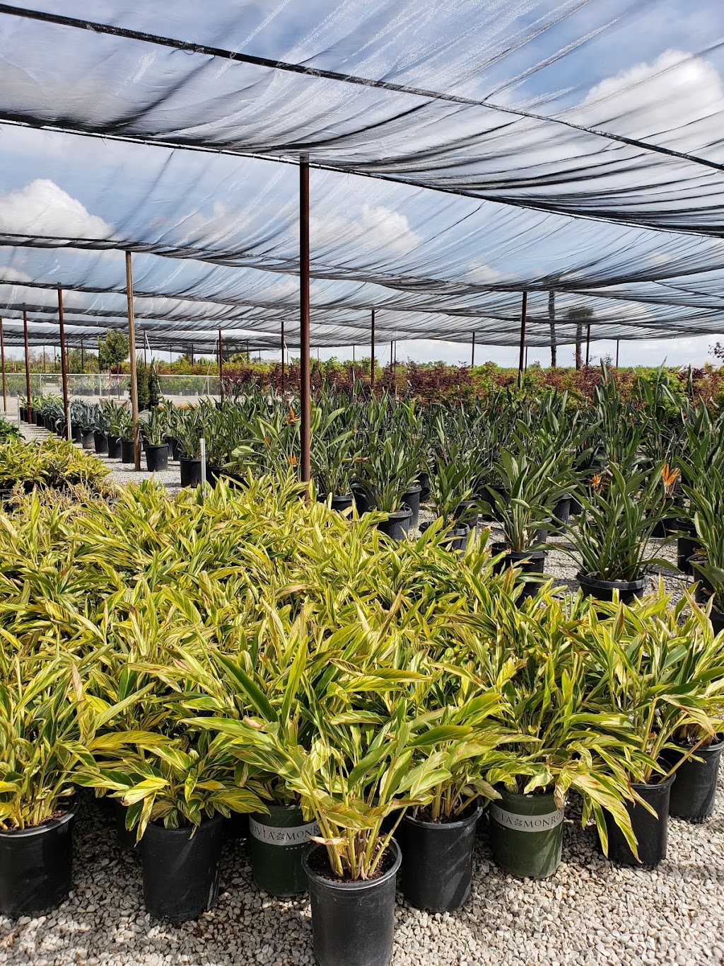 Riverside Nursery and Landscape | Enter Off Chateau, 7864 W Shaw Ave, Fresno, CA 93722, USA | Phone: (559) 275-1891