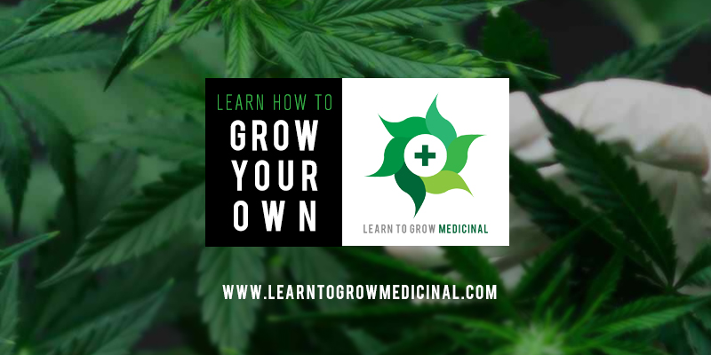 Learn To Grow Medicinal | 953 W 18th St, Chicago, IL 60608, USA | Phone: (312) 768-8633