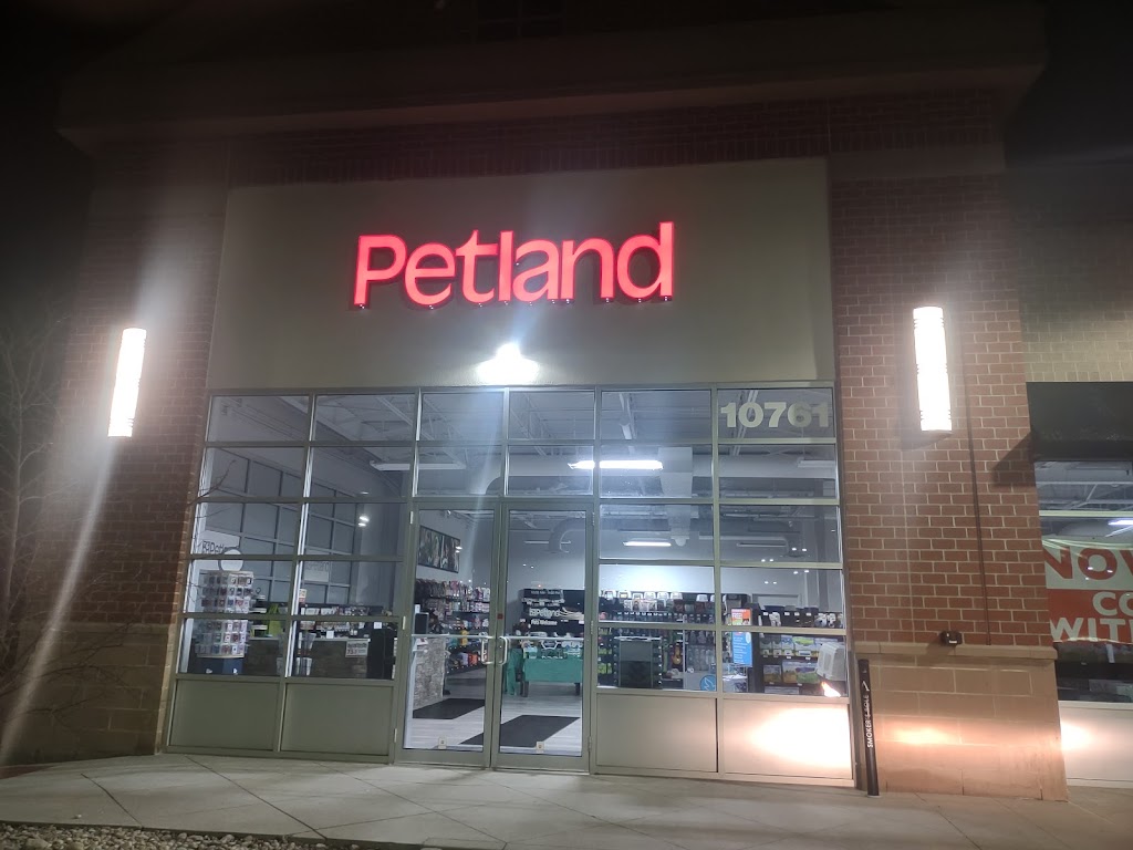 Petland Austin Landing | 10761 Innovation Drive, Miamisburg, OH 45342, USA | Phone: (937) 714-7776
