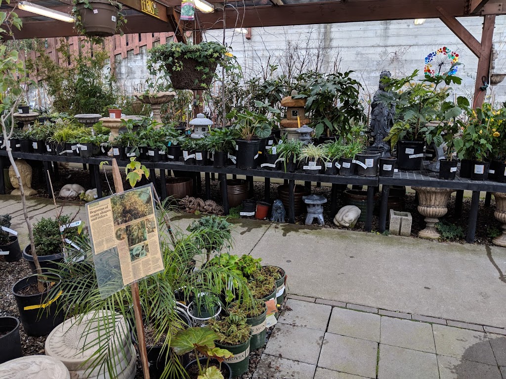 Ace Garden Center | 4001 Grand Ave, Oakland, CA 94610, USA | Phone: (510) 652-9143