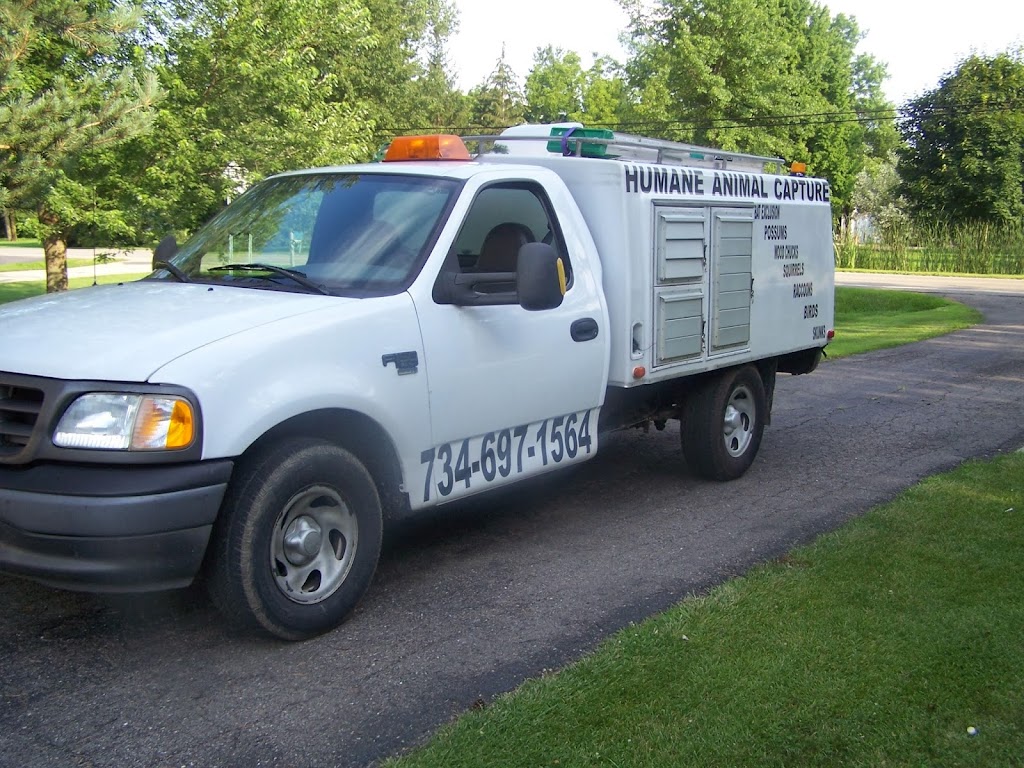 Als Wildlife Removal Service | 41720 Savage Rd, Belleville, MI 48111, USA | Phone: (734) 697-1564