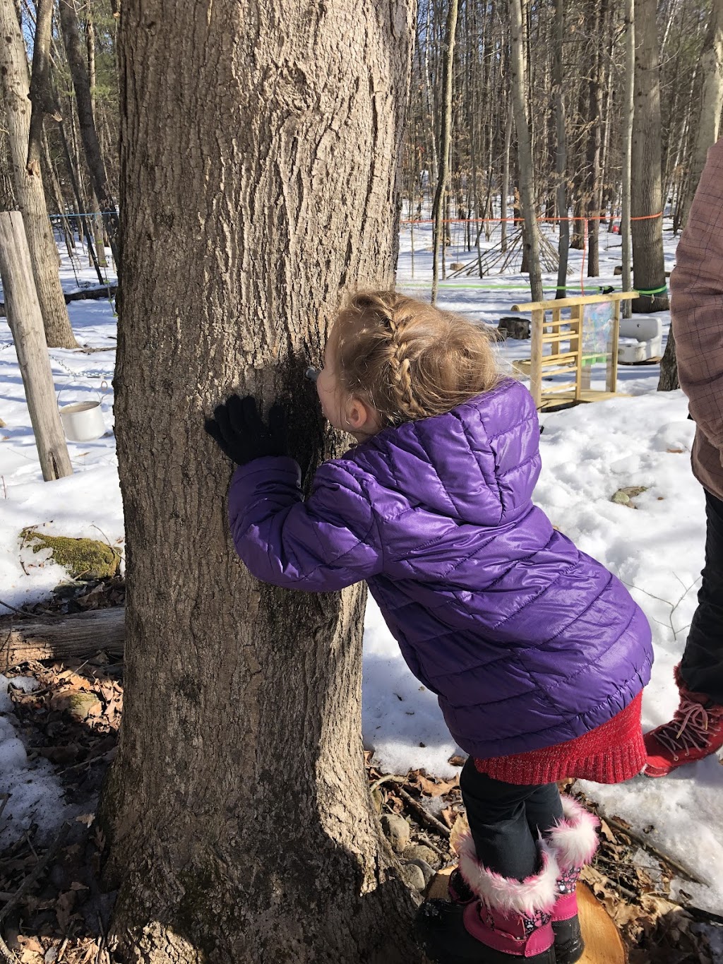 Little Wings Farm School | 270 Wing Rd, Greenfield Center, NY 12833 | Phone: (518) 450-3924