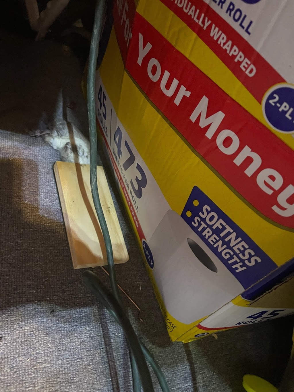 Getem Gone pest control | 37623 57th St E, Palmdale, CA 93552, USA | Phone: (424) 571-3306