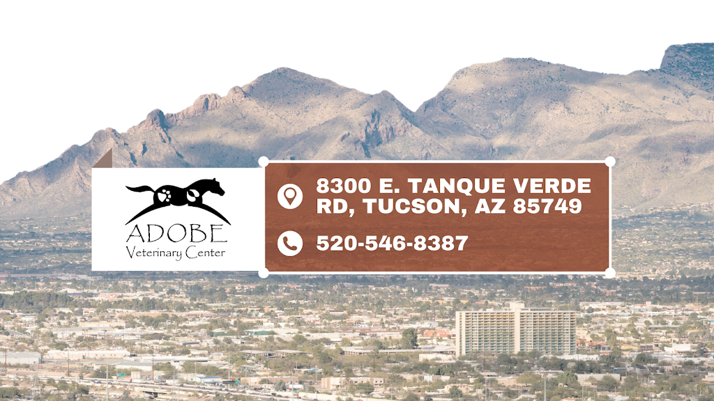 Adobe Veterinary Center | 8300 E Tanque Verde Rd, Tucson, AZ 85749 | Phone: (520) 546-8387