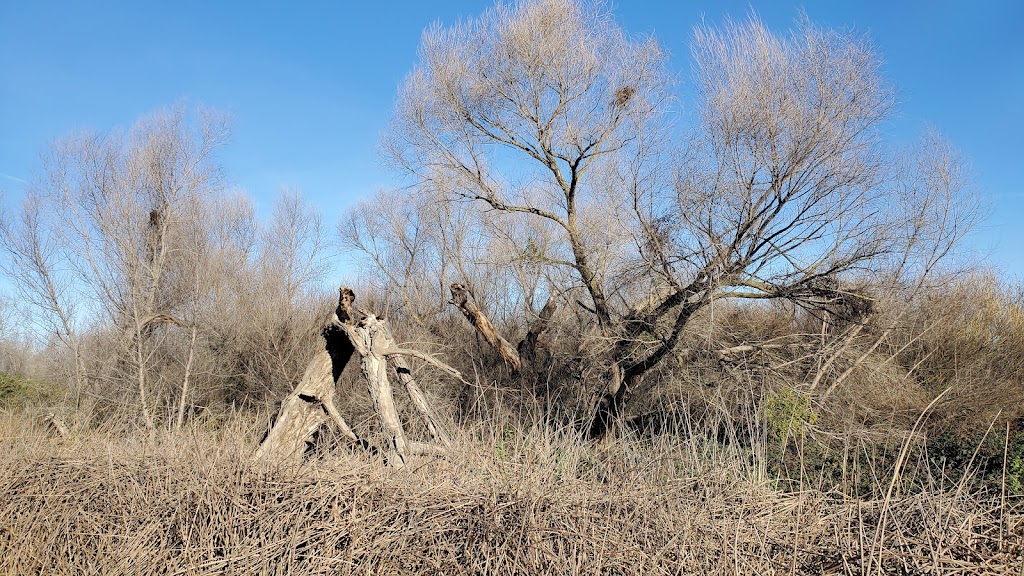 San Joaquin River National Wildlife Refuge | 2714 Dairy Rd, Vernalis, CA 95385, USA | Phone: (209) 826-3508