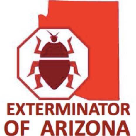Exterminator of Arizona | 15886 W Mohave St, Goodyear, AZ 85338, USA | Phone: (623) 826-2966