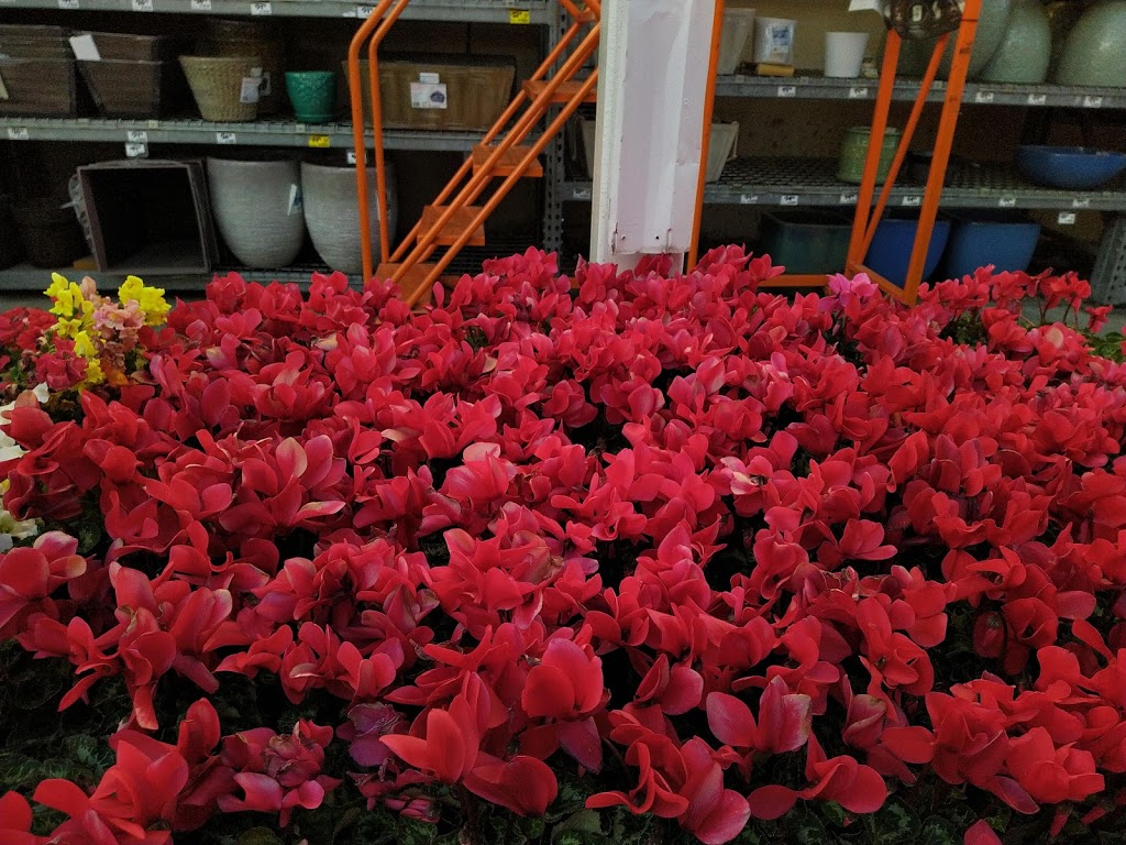 Garden Center at The Home Depot | 680 Kifer Rd, Sunnyvale, CA 94086, USA | Phone: (408) 245-3686