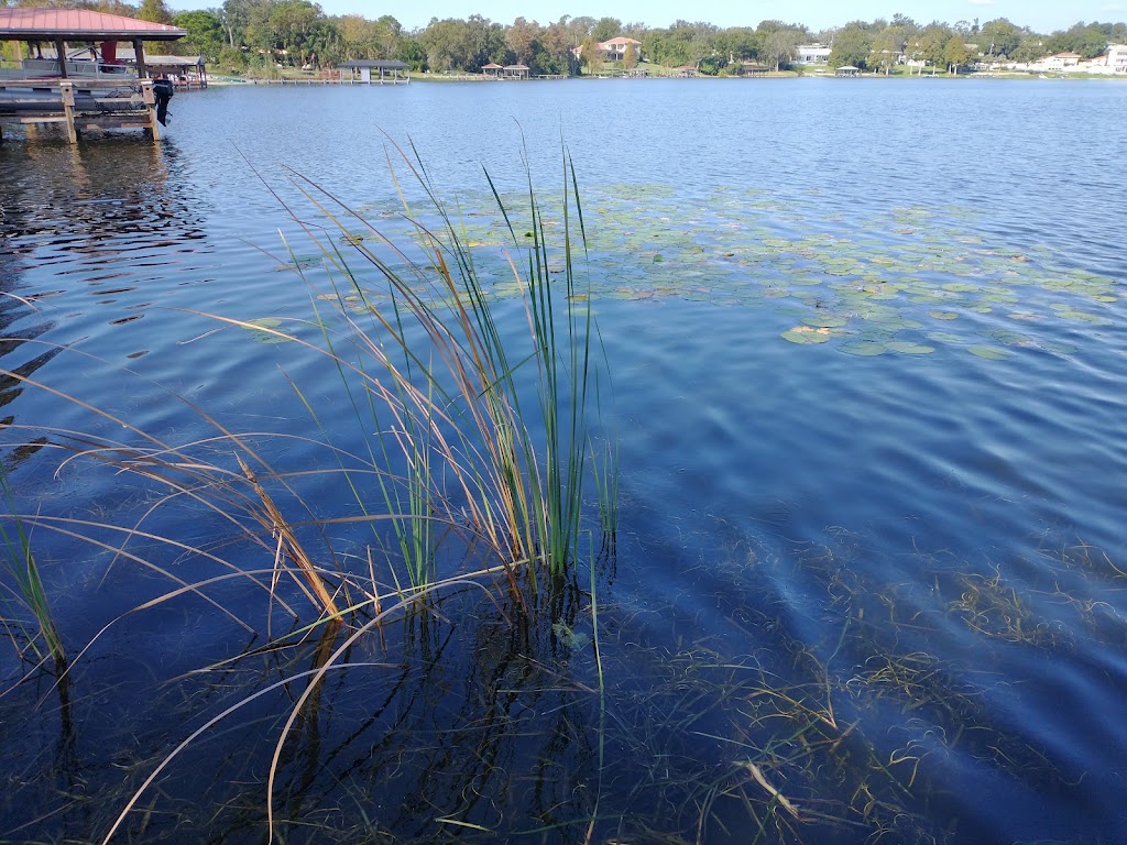 Lake Florence Park | 316 S Lake Florence Dr, Winter Haven, FL 33884, USA | Phone: (863) 534-6911