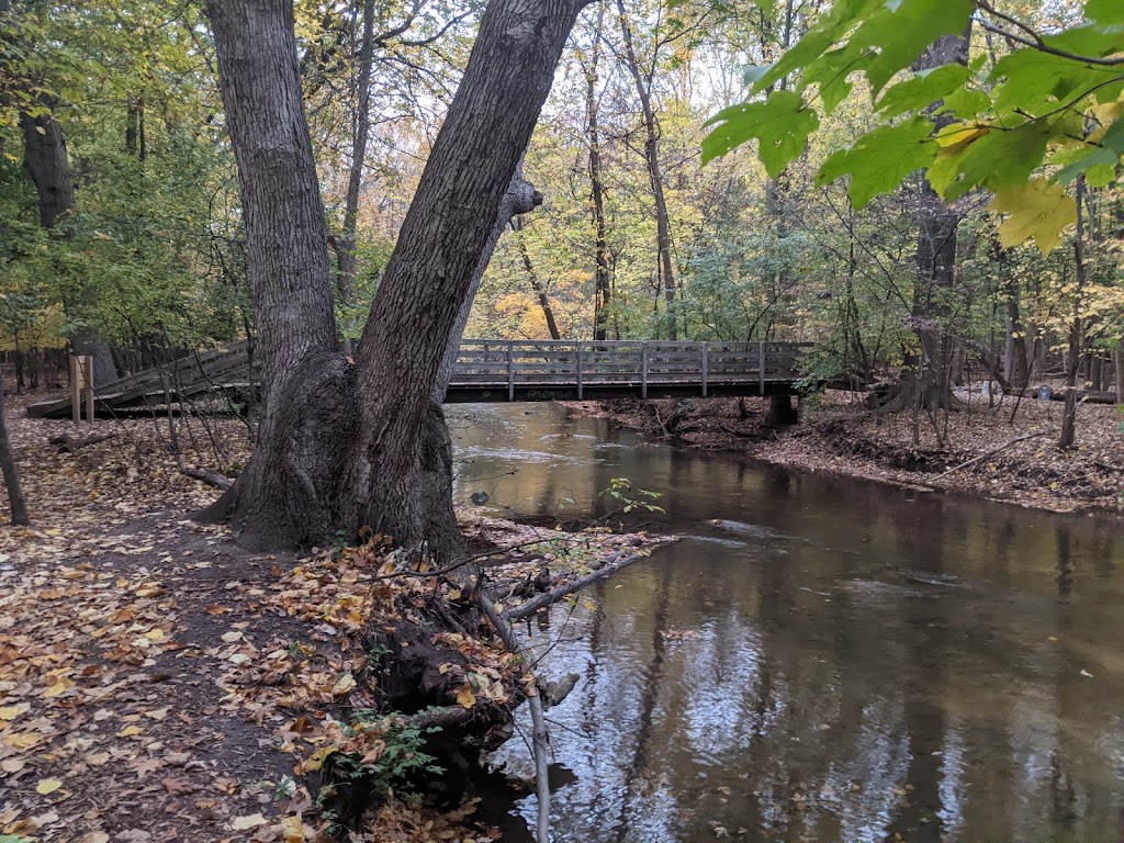 Dinosaur Hill Nature Preserve | 333 N Hill Cir, Rochester Hills, MI 48307, USA | Phone: (248) 656-0999