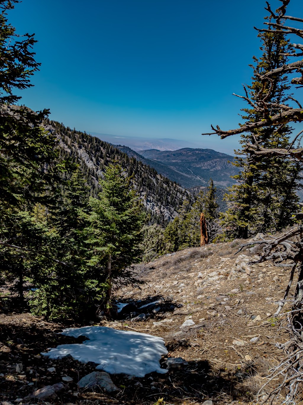 Chumash Wilderness | Mt Pinos Rd, Frazier Park, CA 93225, USA | Phone: (805) 968-6640