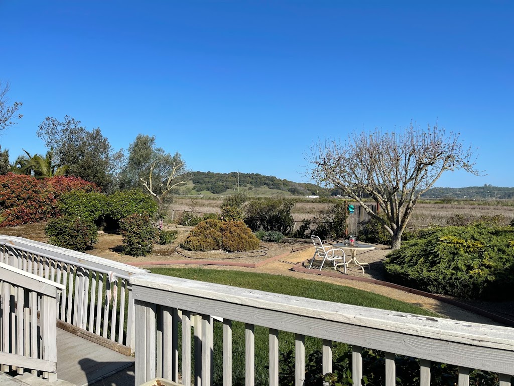 Bel Marin Gardens | 119 Montego Key, Novato, CA 94949, USA | Phone: (628) 259-2954