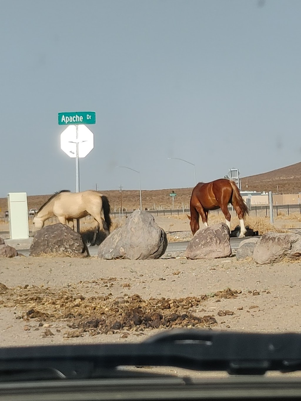 Stagecoach Junction | 5905 Apache Dr, Stagecoach, NV 89429, USA | Phone: (626) 353-7330