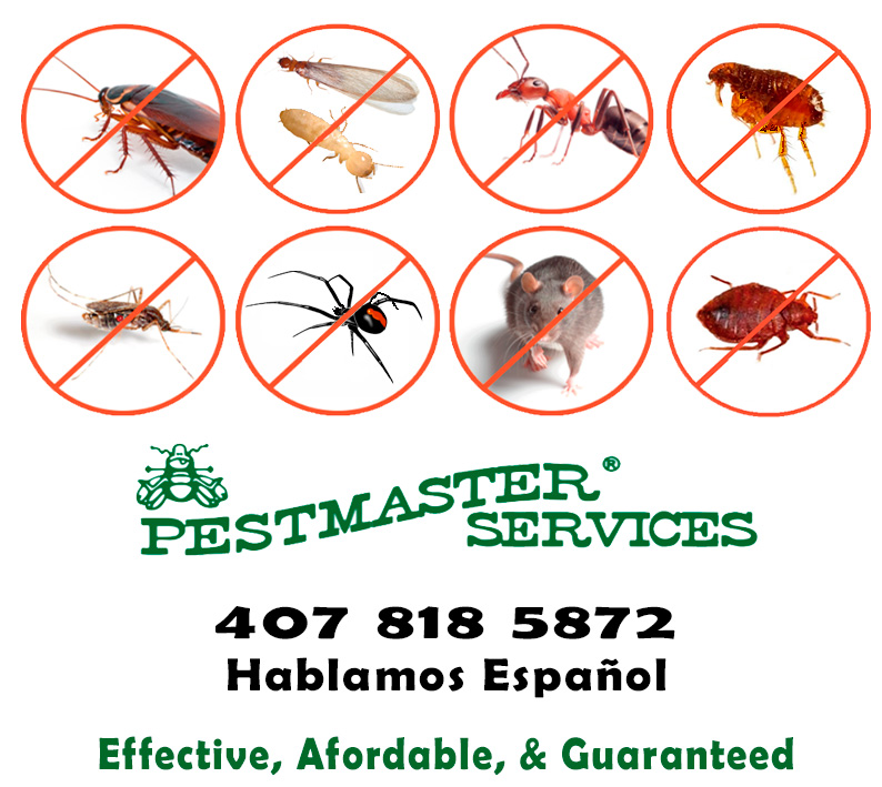 Pestmaster Services | 5567 S Orange Blossom Trail, Intercession City, FL 33848, USA | Phone: (407) 818-5872