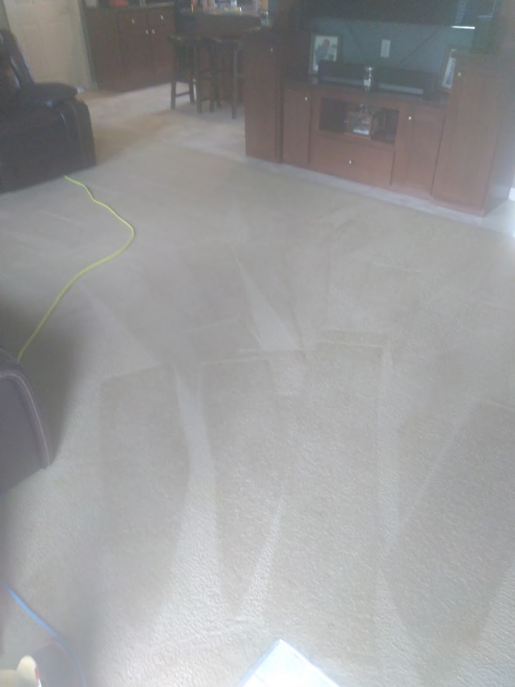 Pet Mess Express | 120 Washington St, Carlisle, KY 40311, USA | Phone: (808) 372-2685