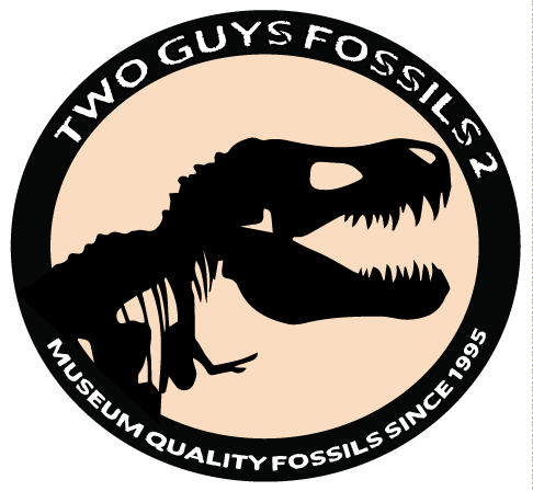 Two Guys Fossils | 1 Lynnes Way, East Bridgewater, MA 02333, USA | Phone: (800) 367-7457